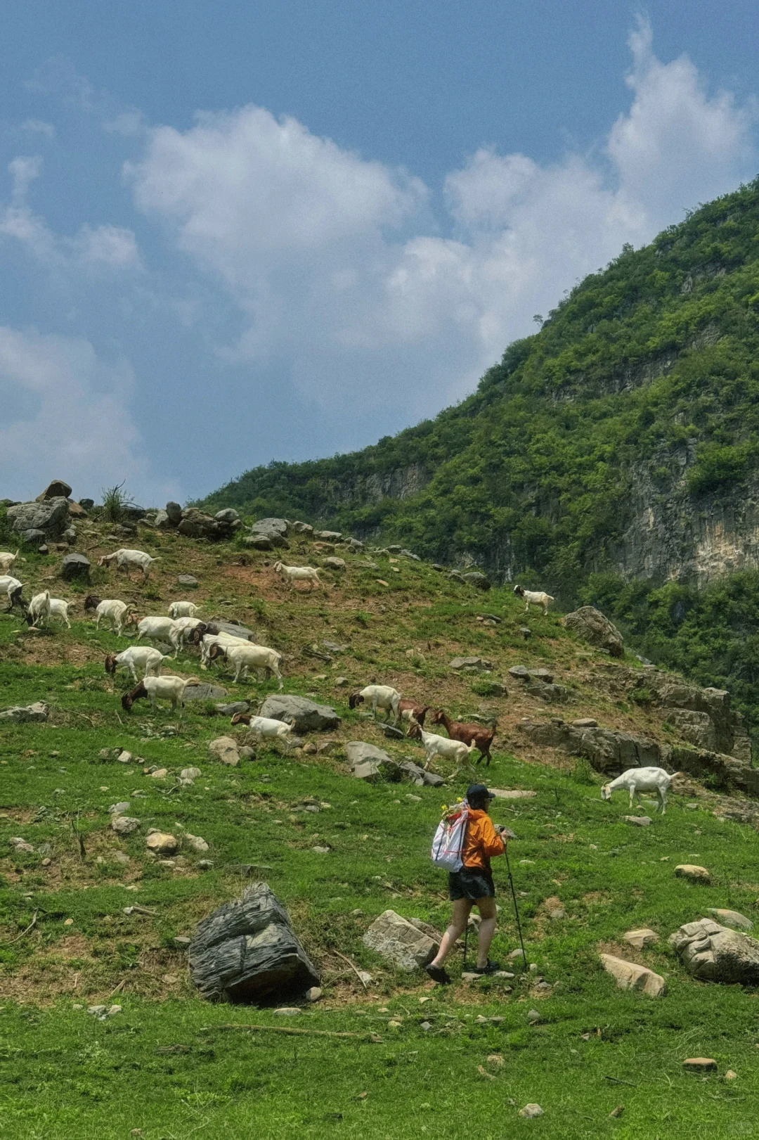 郑州周边⛰️2h抵达峡谷草甸溯溪的小众秘境