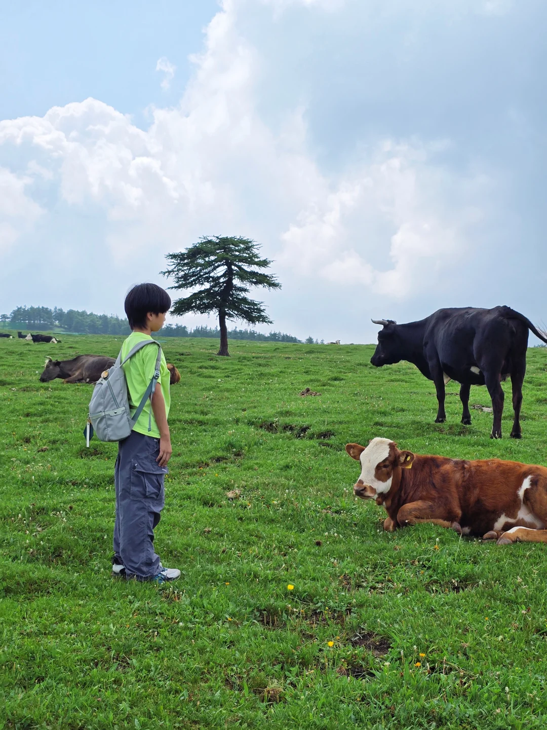 忍不住又来了一次！