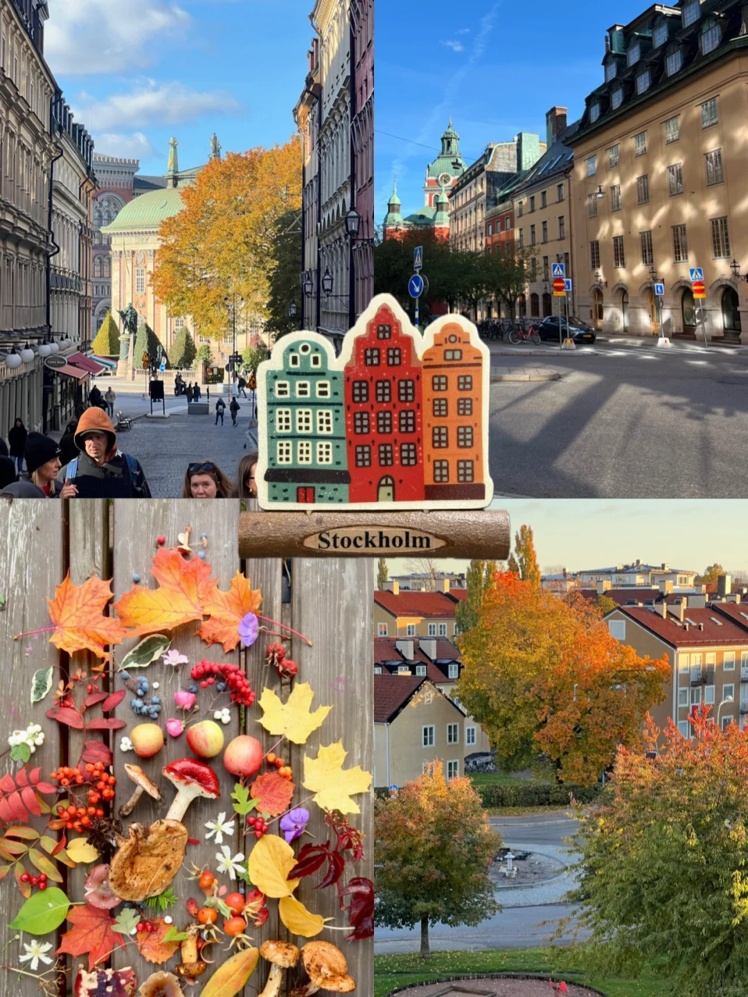 适合女生solo trip的地方推荐（欧洲版🦋