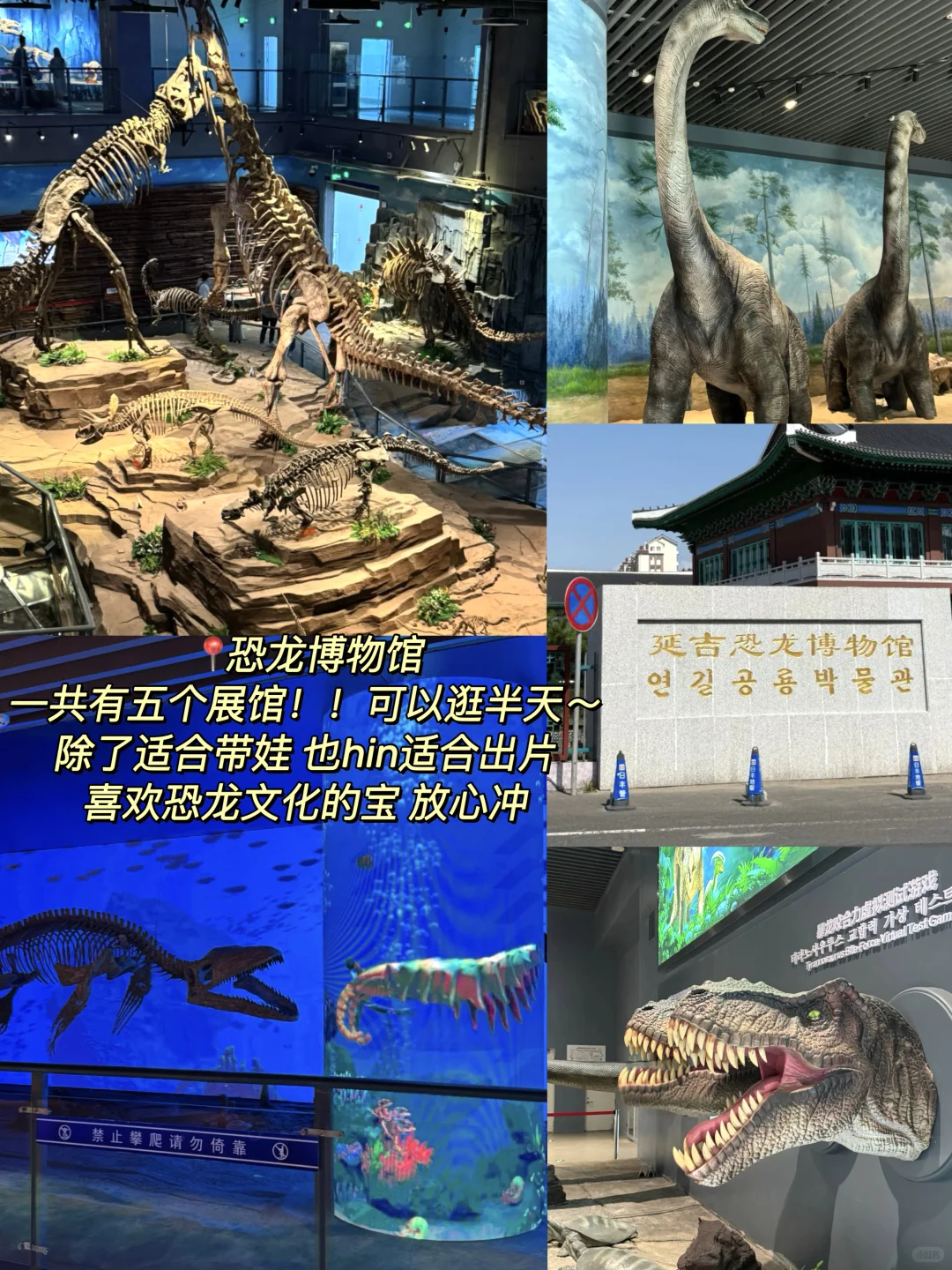 延吉📍一个好逛好吃！让人3天吃13顿的地方～