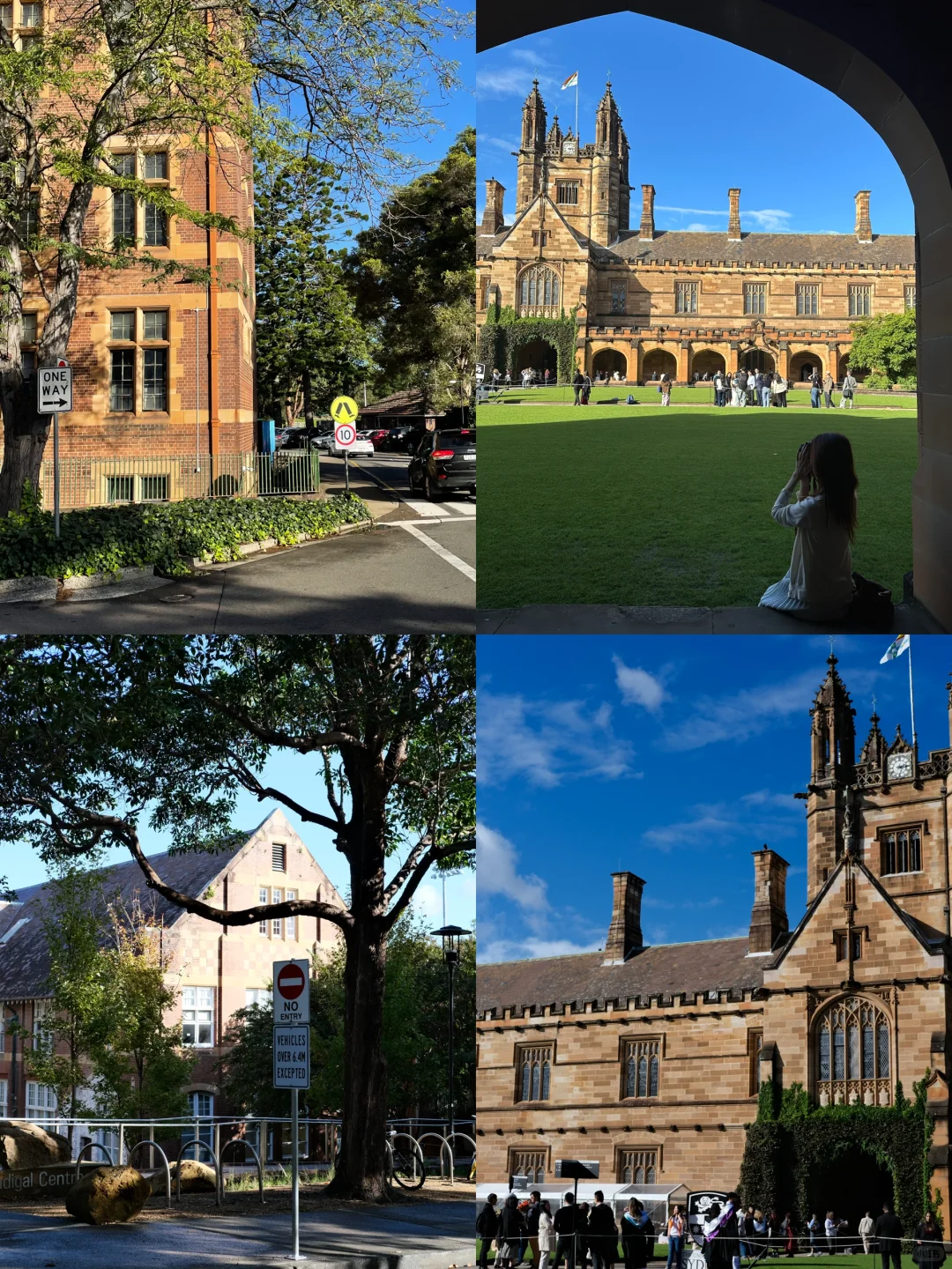 悉尼&猫本7日游攻略（附点评版😀）