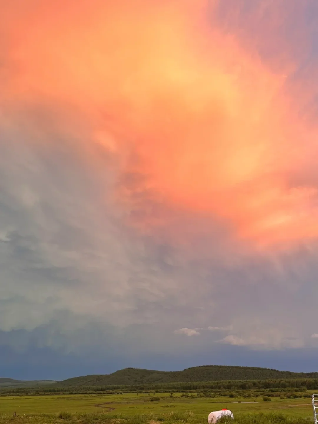 北戴河乌兰布统已回，😭能劝一个是一个…