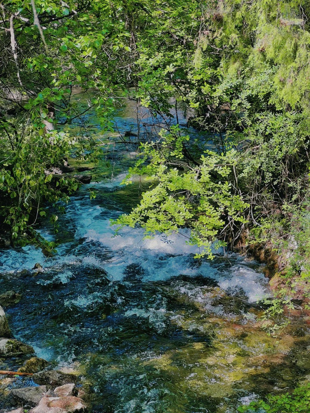 九寨沟一日游‼️精华景点亲测不走回头路