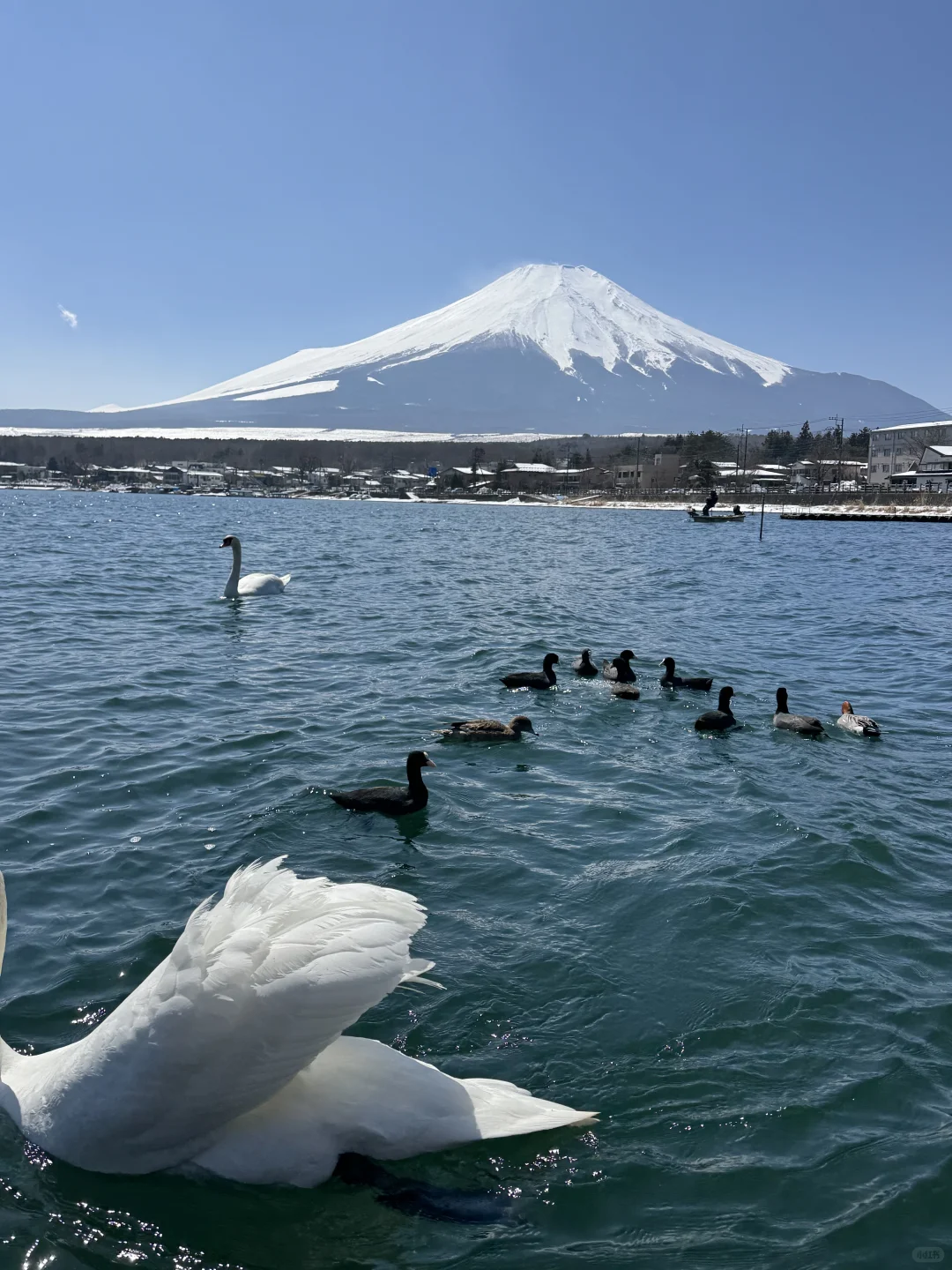 对自己做的日本攻略满意得睡不着觉…🥹🥹