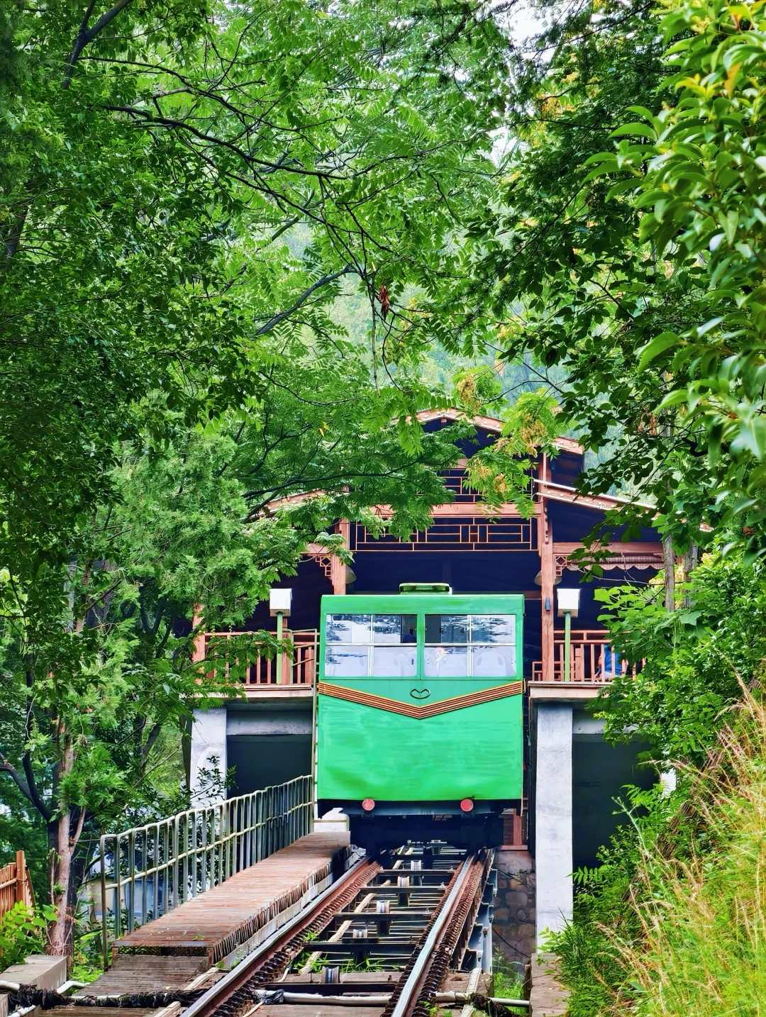 我在洛阳栾川遇到了宫崎骏动画里的列车🚄