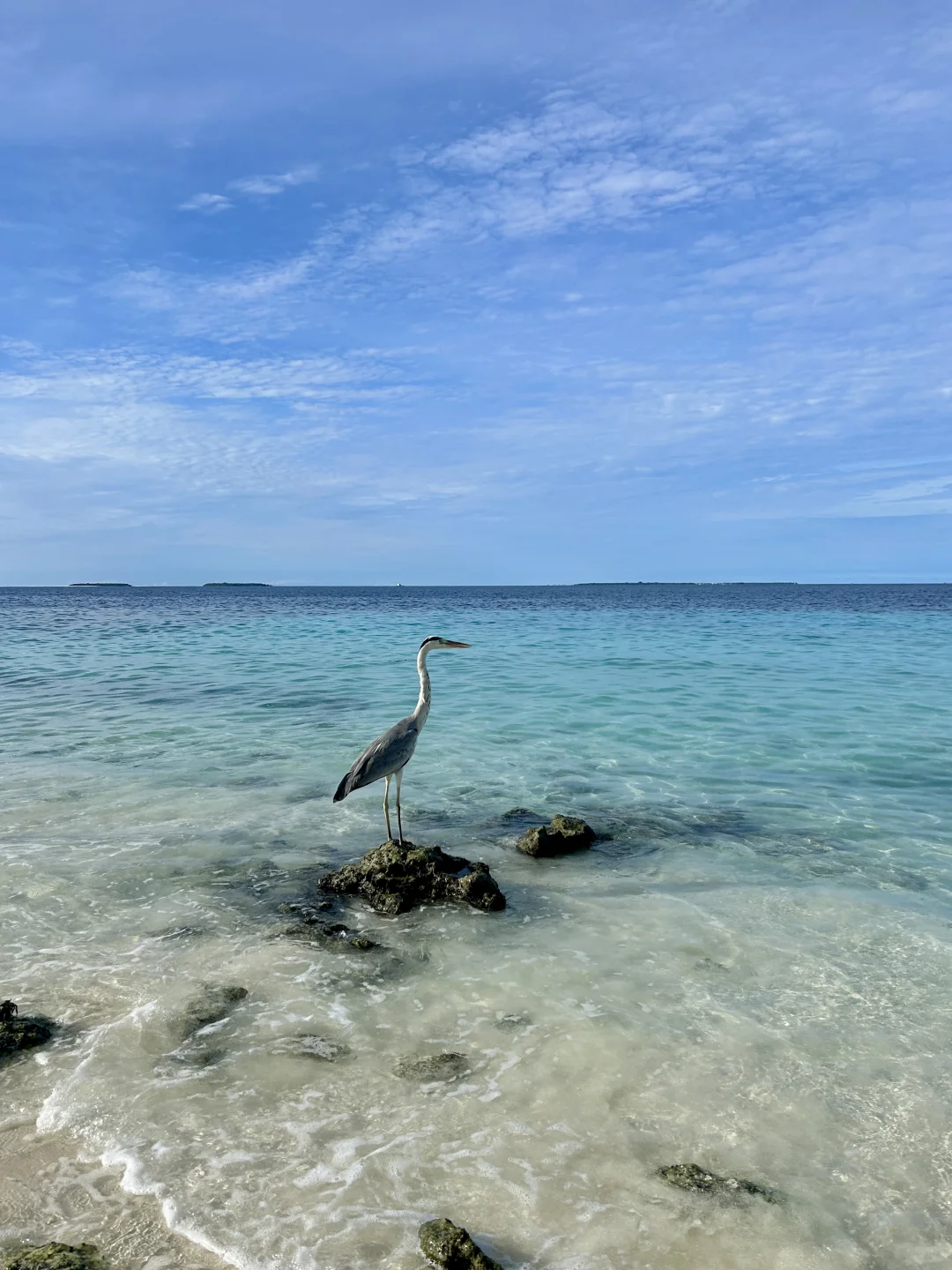 🌏迄今去过的9个东南亚海岛感受和评分