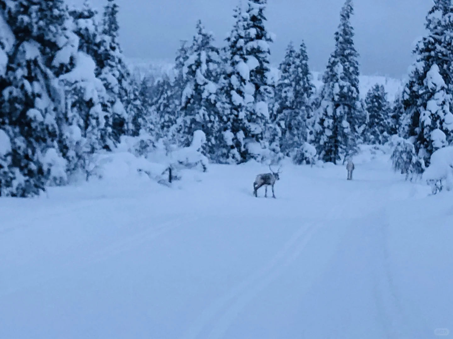个人向国外旅游地推荐