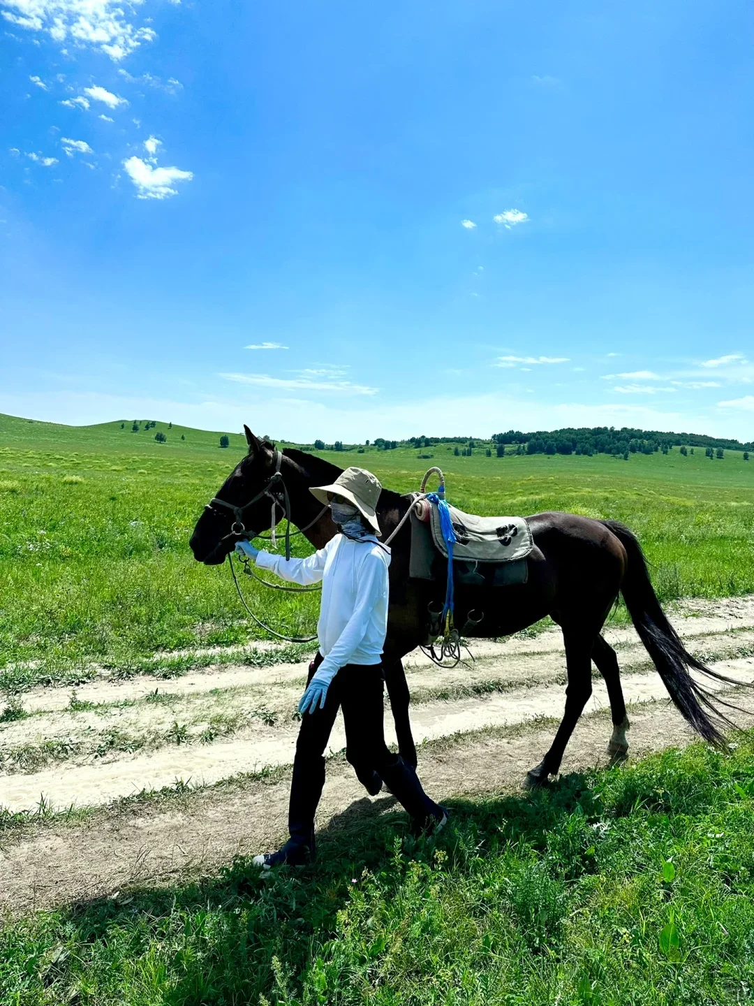 北戴河乌兰布统已回，😭能劝一个是一个…