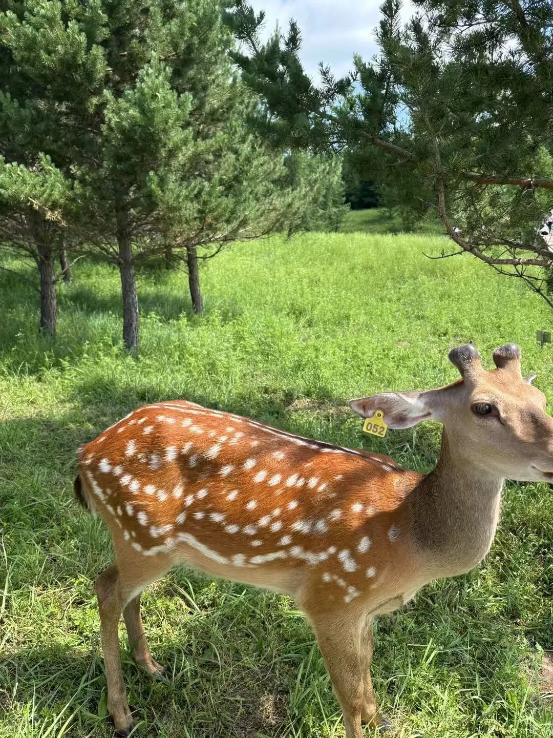 北戴河乌兰布统已回，😭能劝一个是一个…