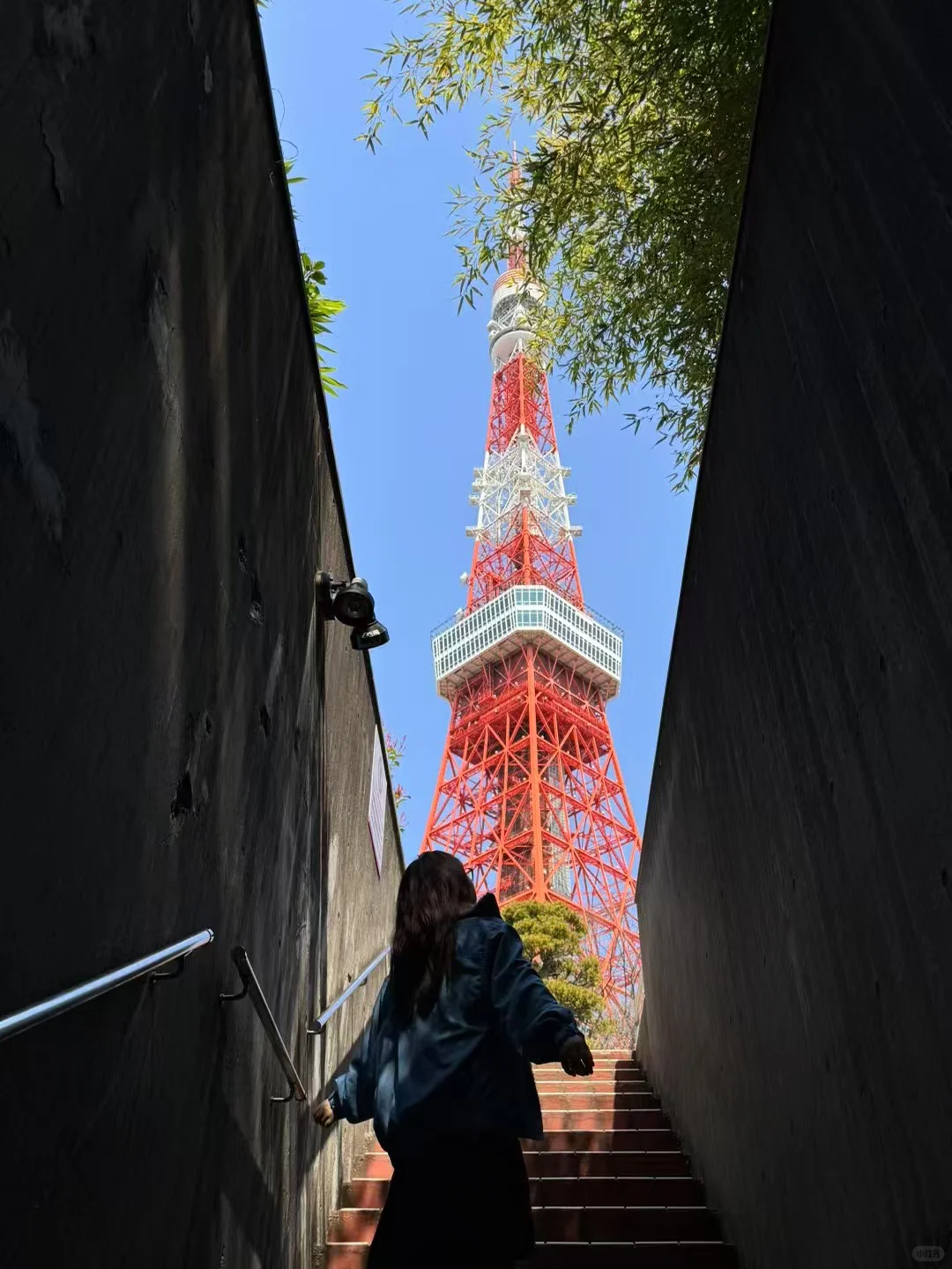 对自己做的日本攻略满意的睡不着觉…🥹🥹