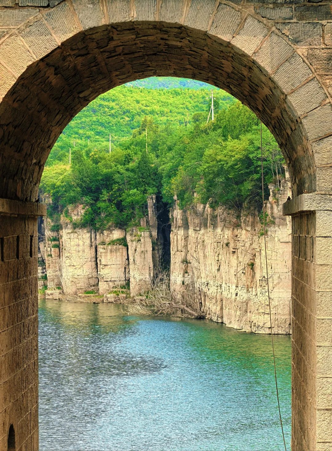 这个野生景点也太赞了吧！