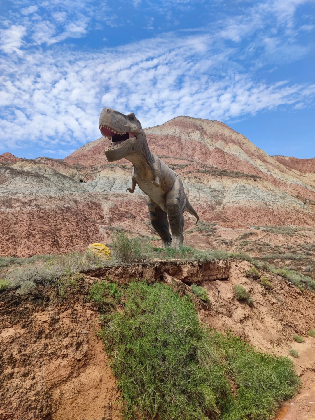 懒人抄作业！水墨丹霞全日攻略省💰省腿