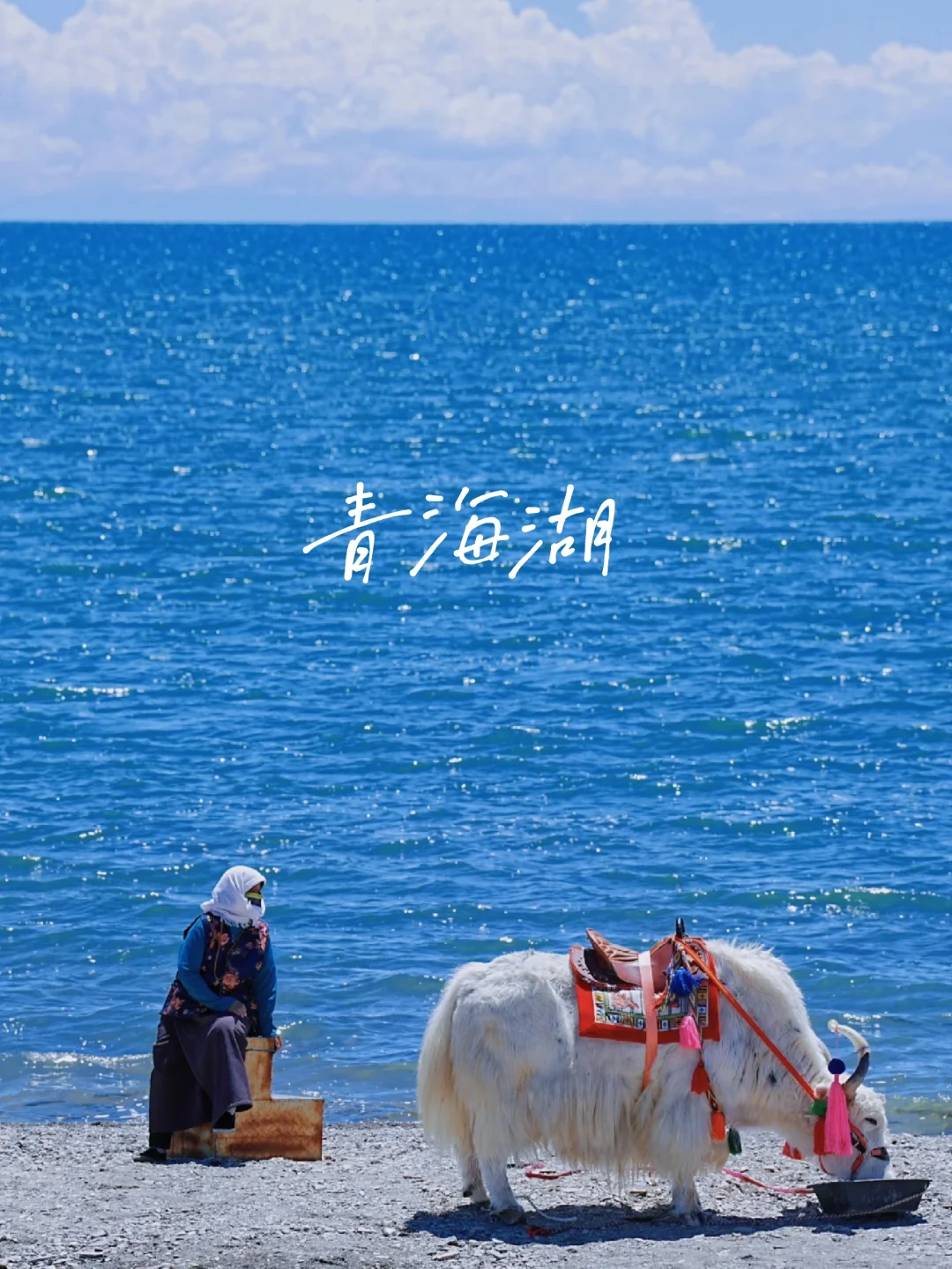 5-8月凉爽游,去青海玩3天🍉|人均1000