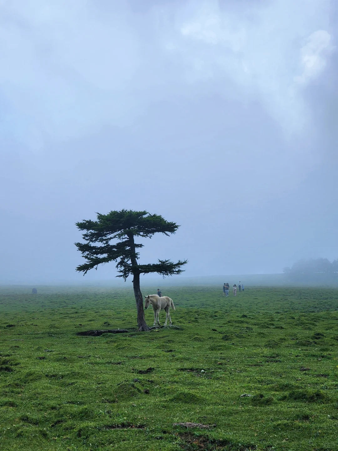忍不住又来了一次！