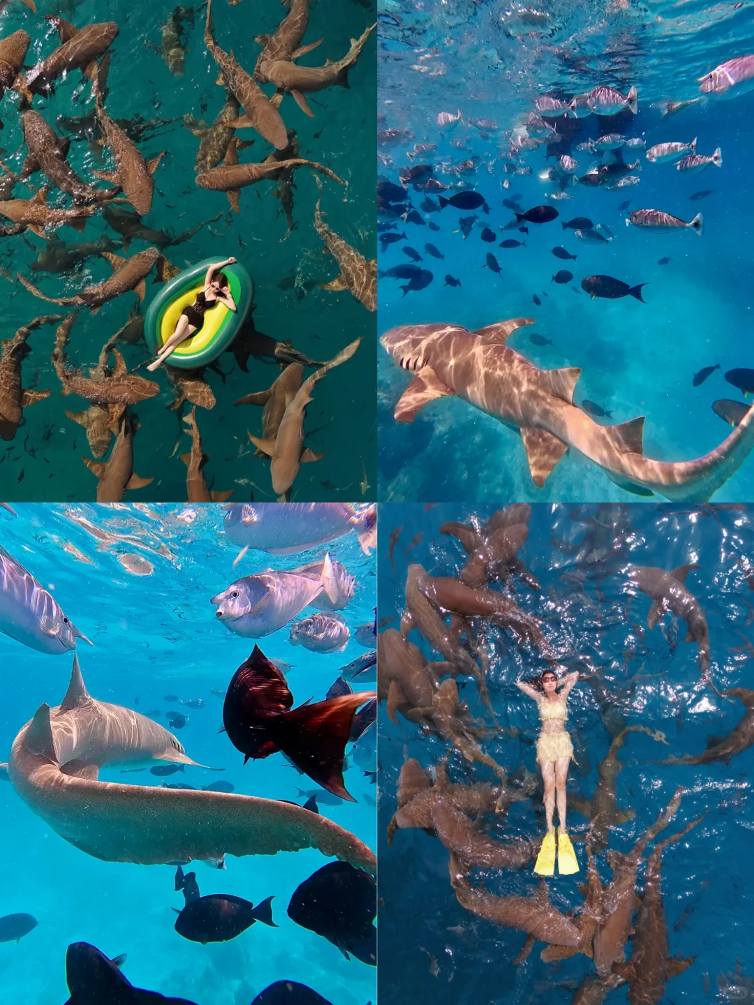 全家在马尔代夫玩了6天，消费观崩塌了！