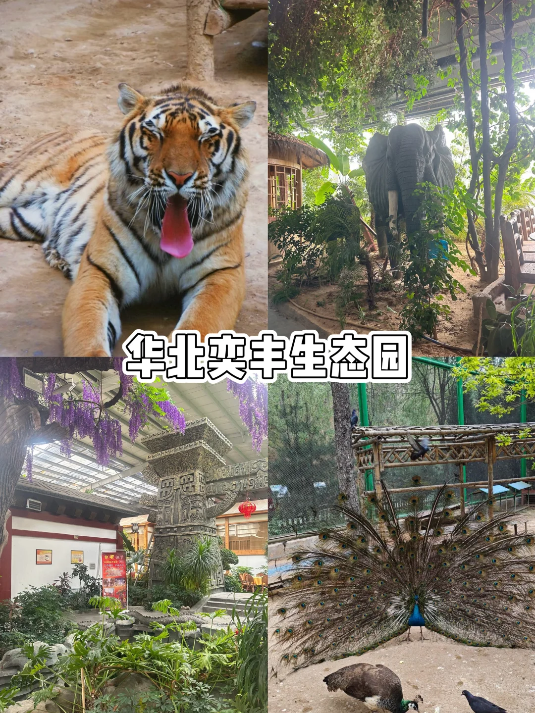 阳泉9大必玩景点，小众宝藏地封神玩法