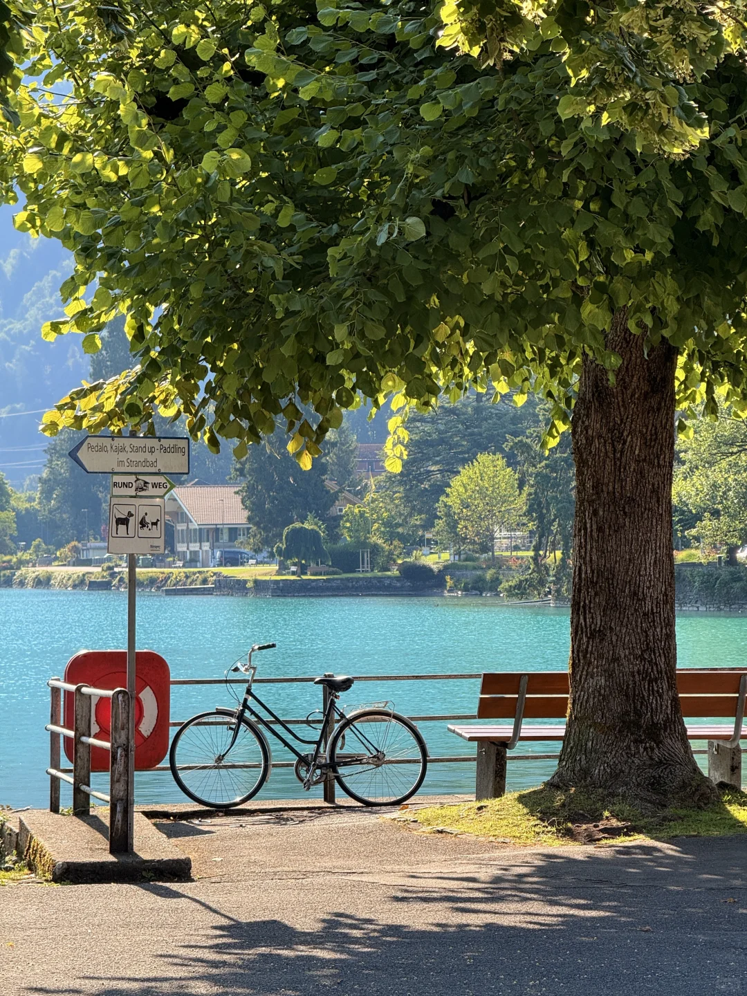 人太年轻的时候不建议去瑞士…