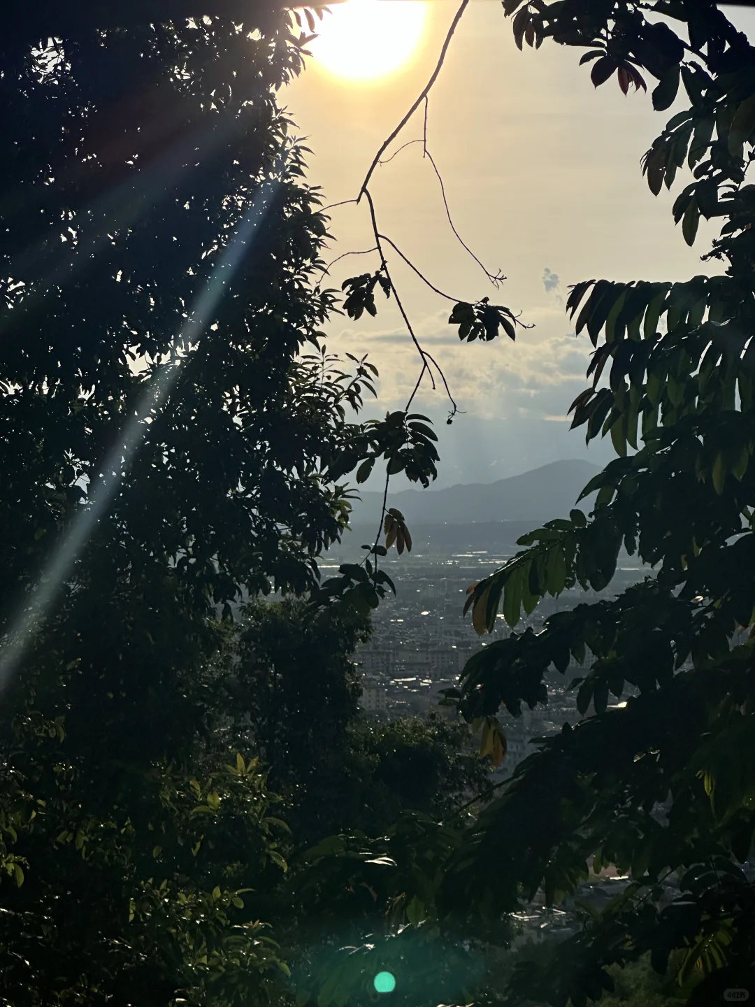 成都出发3天2夜芒市松弛感拉满的旅游攻略🌴
