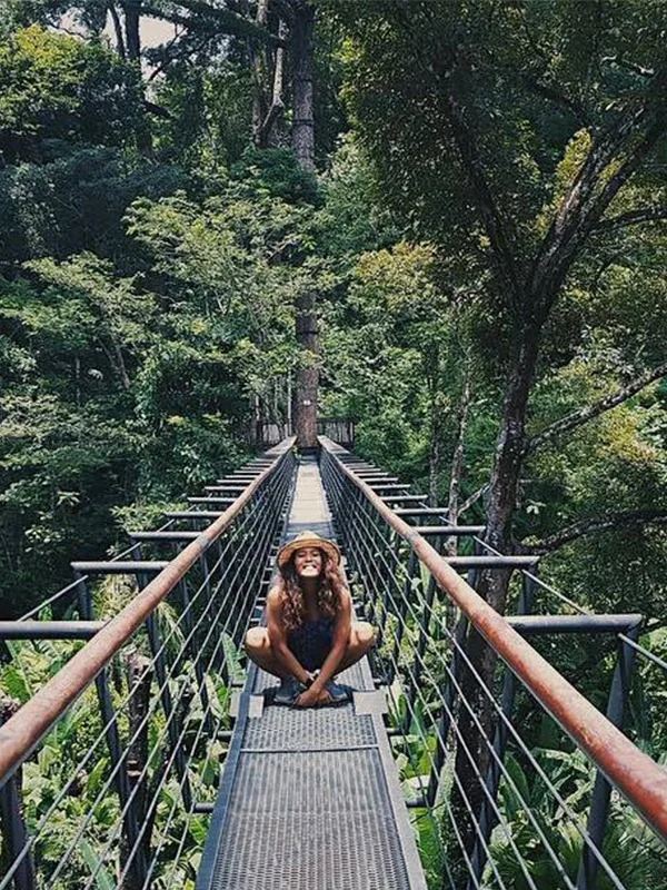 清迈必玩篇 | 也想像猿人泰山一样呐喊🐒