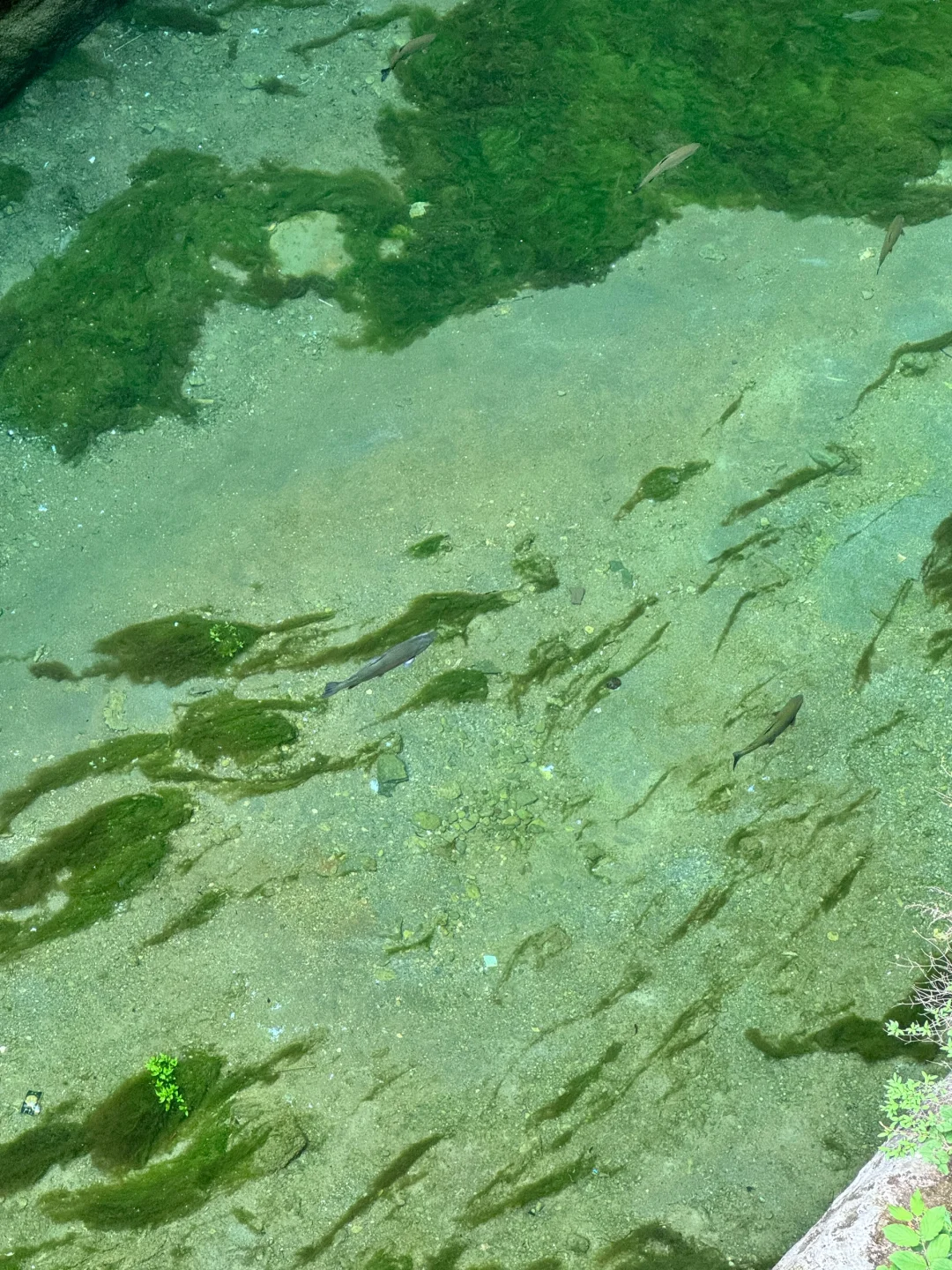 山西长治｜⛰️太行山八泉峡3小时速通攻略