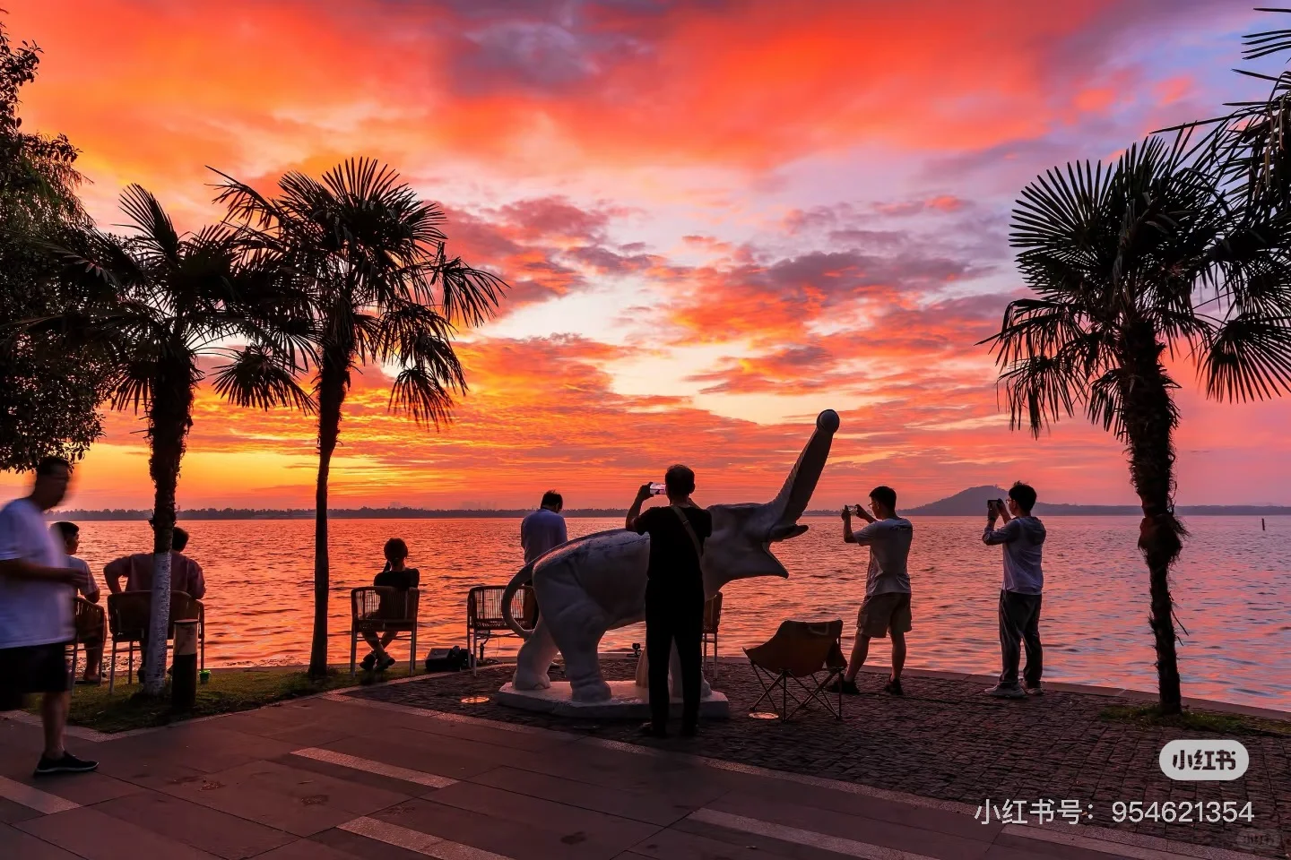 7-8月武汉东湖听涛景区旅游攻略🌅（可看日出