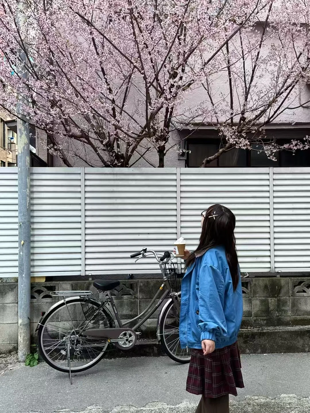 对自己做的日本攻略满意的睡不着觉…🥹🥹