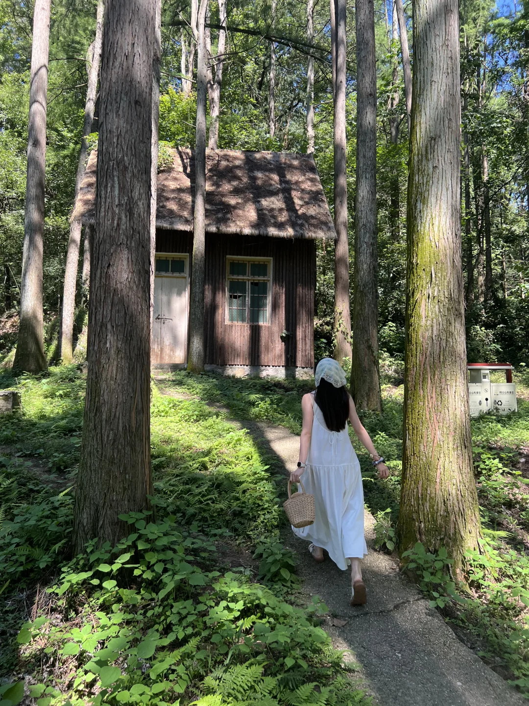 信阳3天2晚🍃小众景美，躺平看山看水