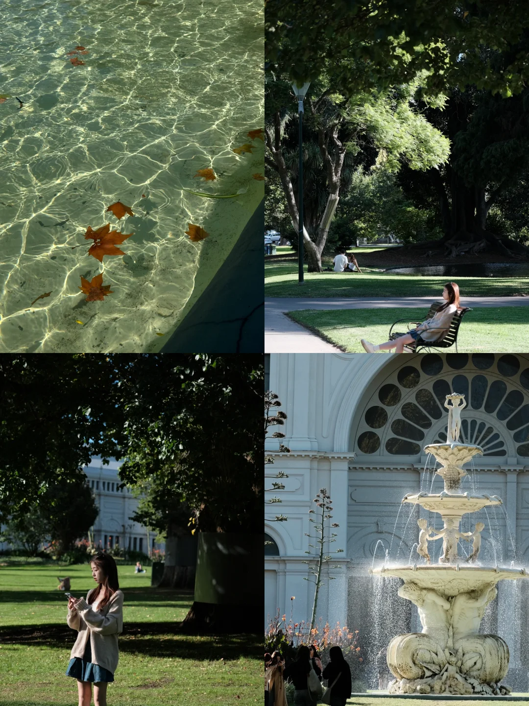 悉尼&猫本7日游攻略（附点评版😀）