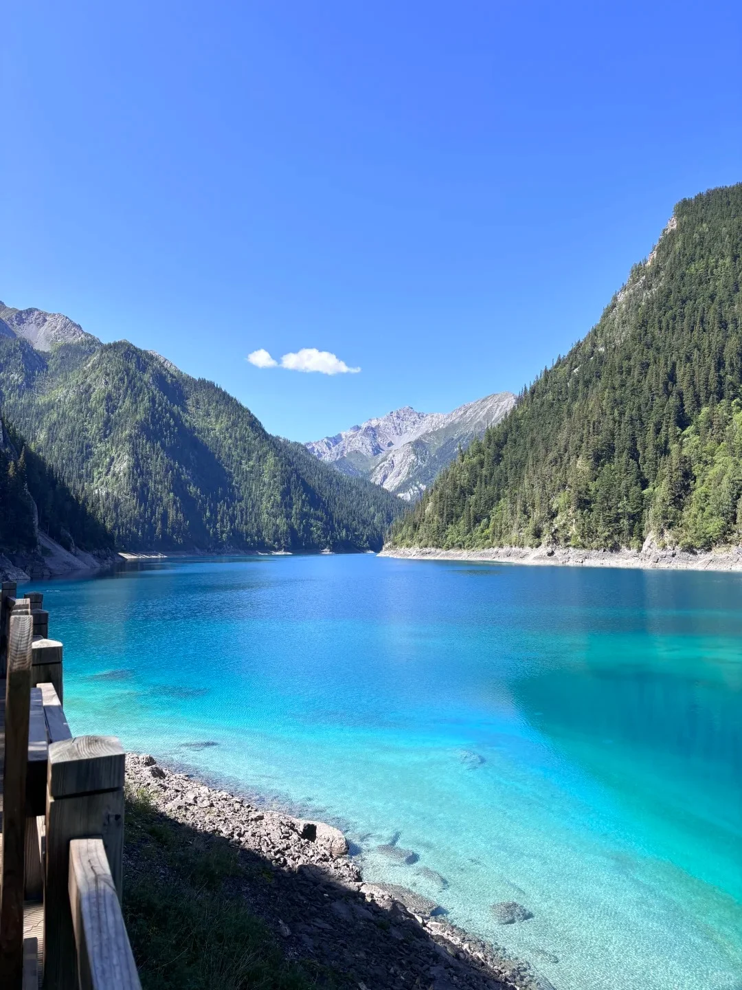 7.28📍九寨沟旅游现状。。踩雷踩到崩溃