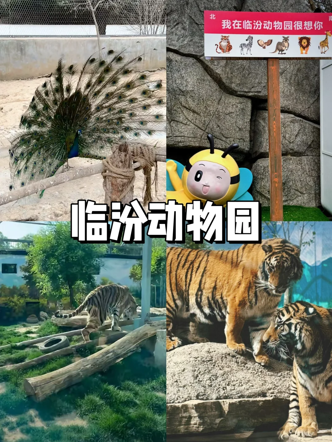 临汾｜遛娃必打卡的9个宝藏地