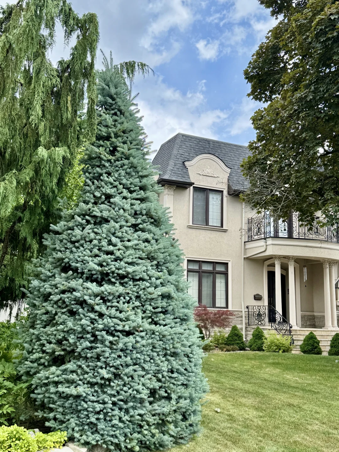 记录夏天的加拿大🇨🇦多伦多➡️蒙特利尔