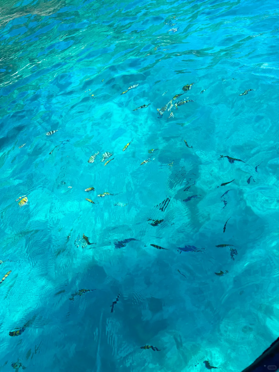 第一次出国马来西亚