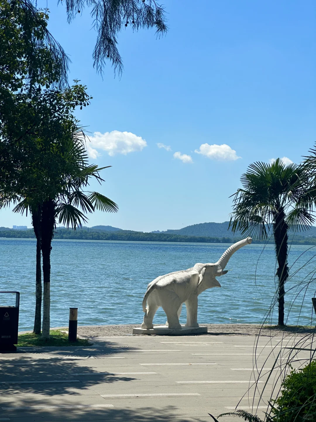 7-8月武汉东湖听涛景区旅游攻略🌅（可看日出