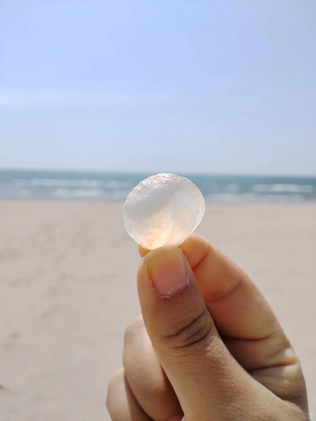 来秦皇岛3天2晚的游玩攻略