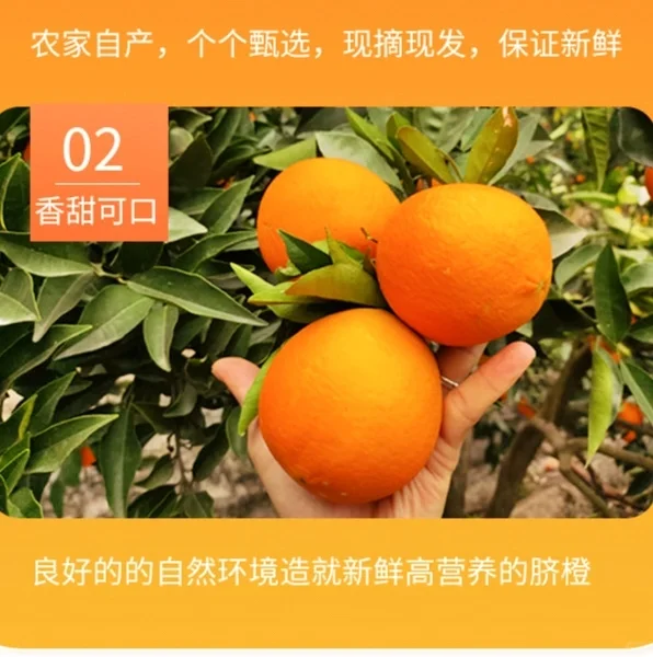 789月带娃出游重庆游必玩景区奉节一日游