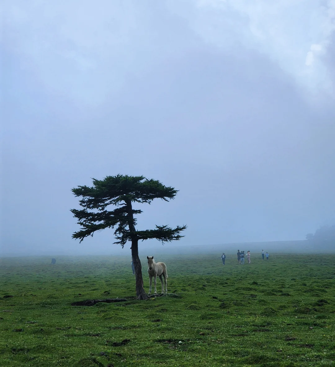忍不住又来了一次！