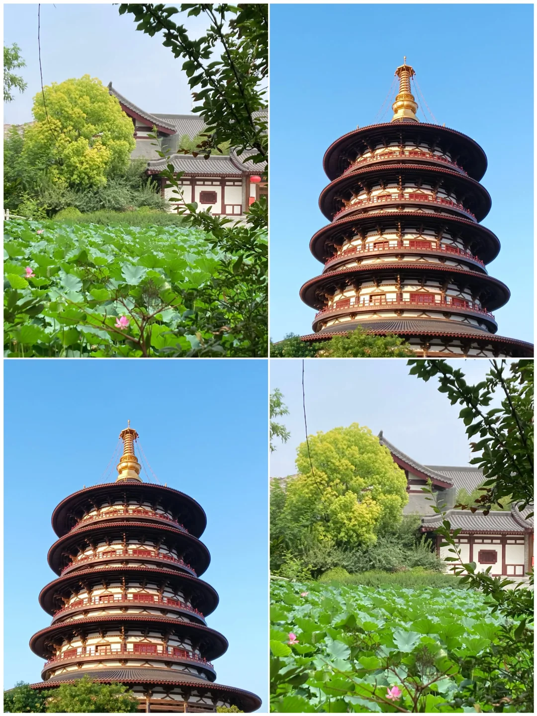 适合带小朋友出游的低消费城市