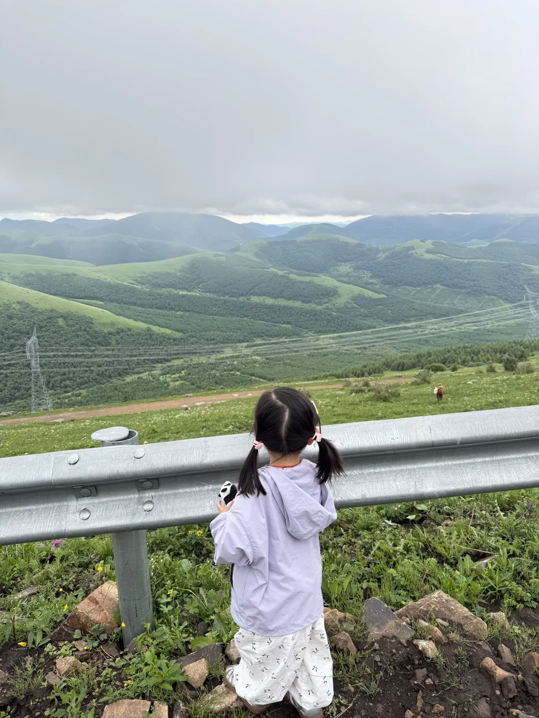 小友自然大会 | 周末到承德草原遛娃避暑咯
