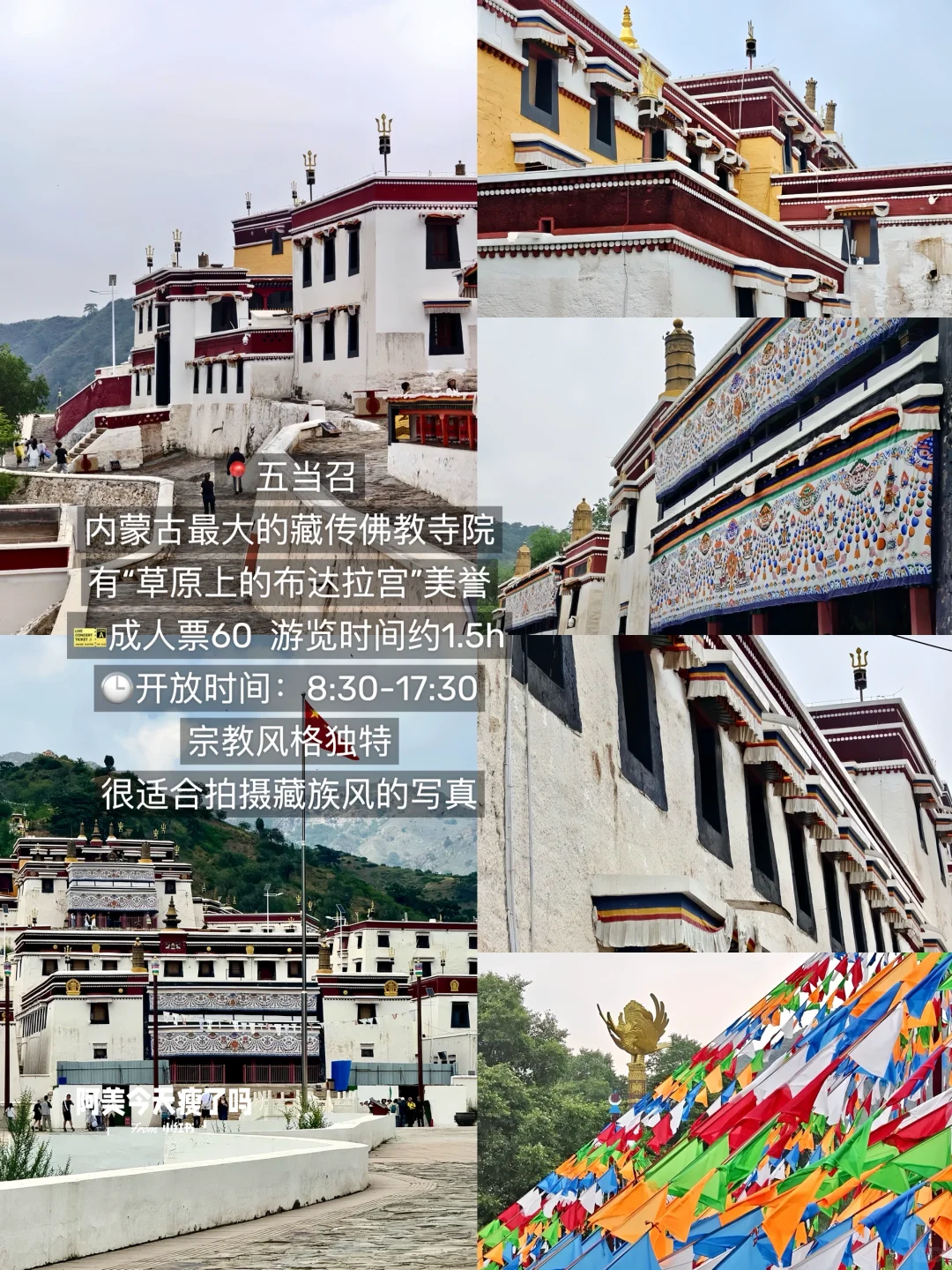 包头本地人带路！3天2晚保姆级攻略吃好玩好！