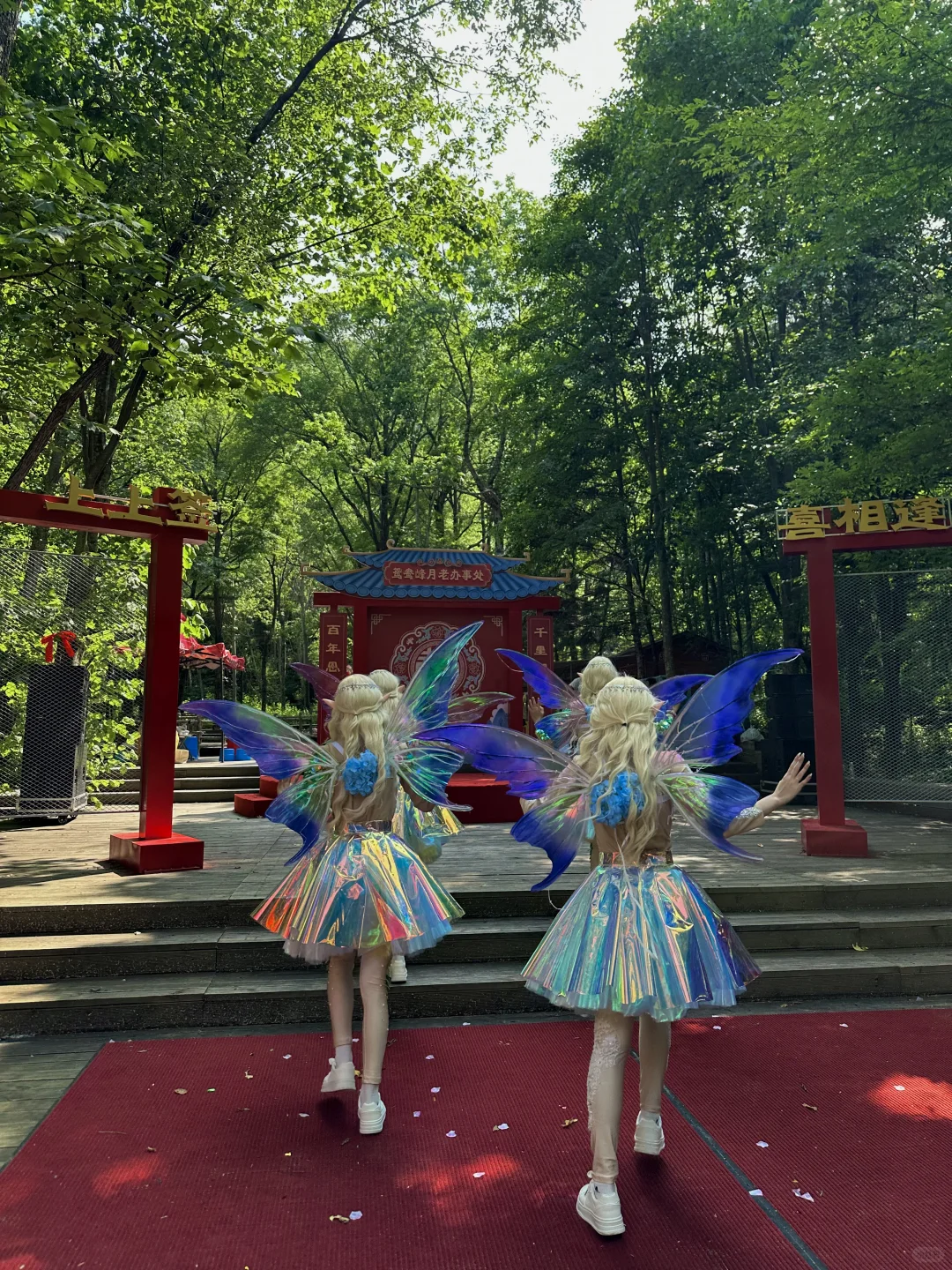 每周一山！哈尔滨当天往返爬山溯溪超治愈！