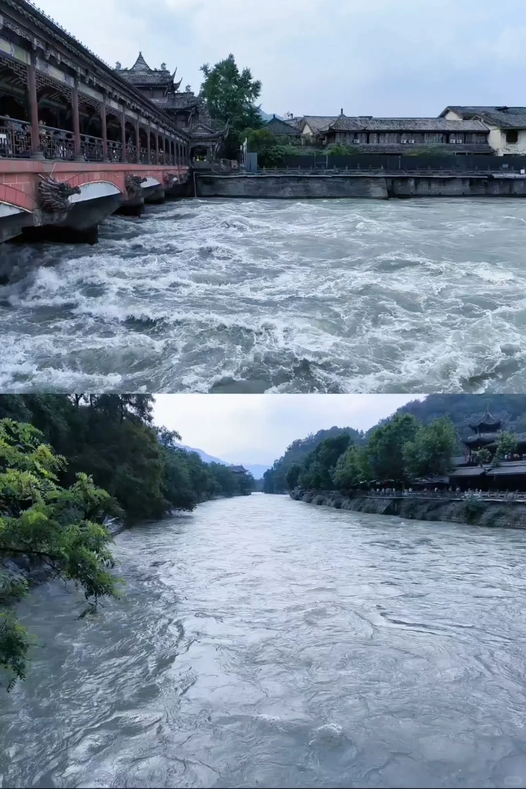 成都→都江堰+熊猫谷攻略|最全景点路线