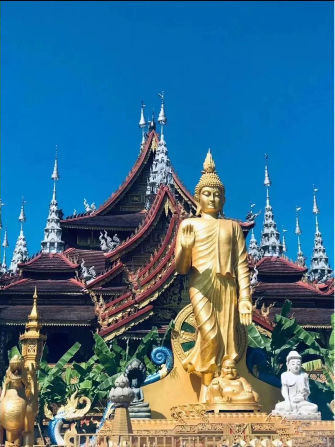 来西双版纳游玩不得不去的八个景区打卡地