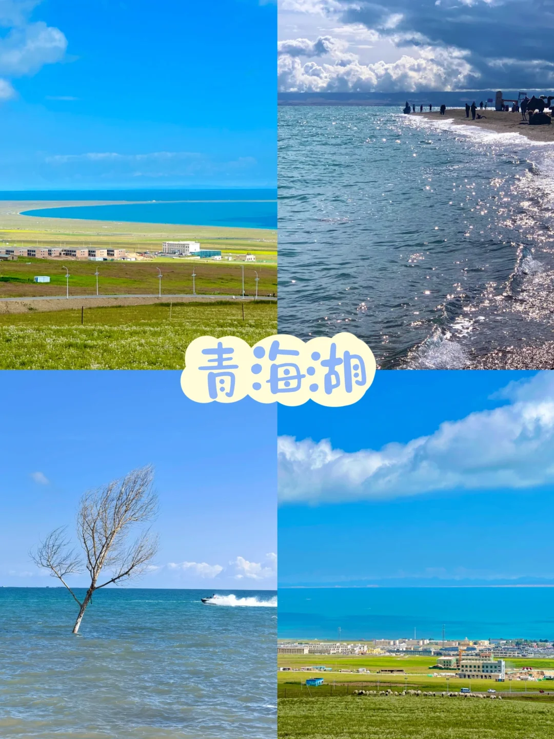 青甘小环线4天就搞定🏕｜人均1.4K💰