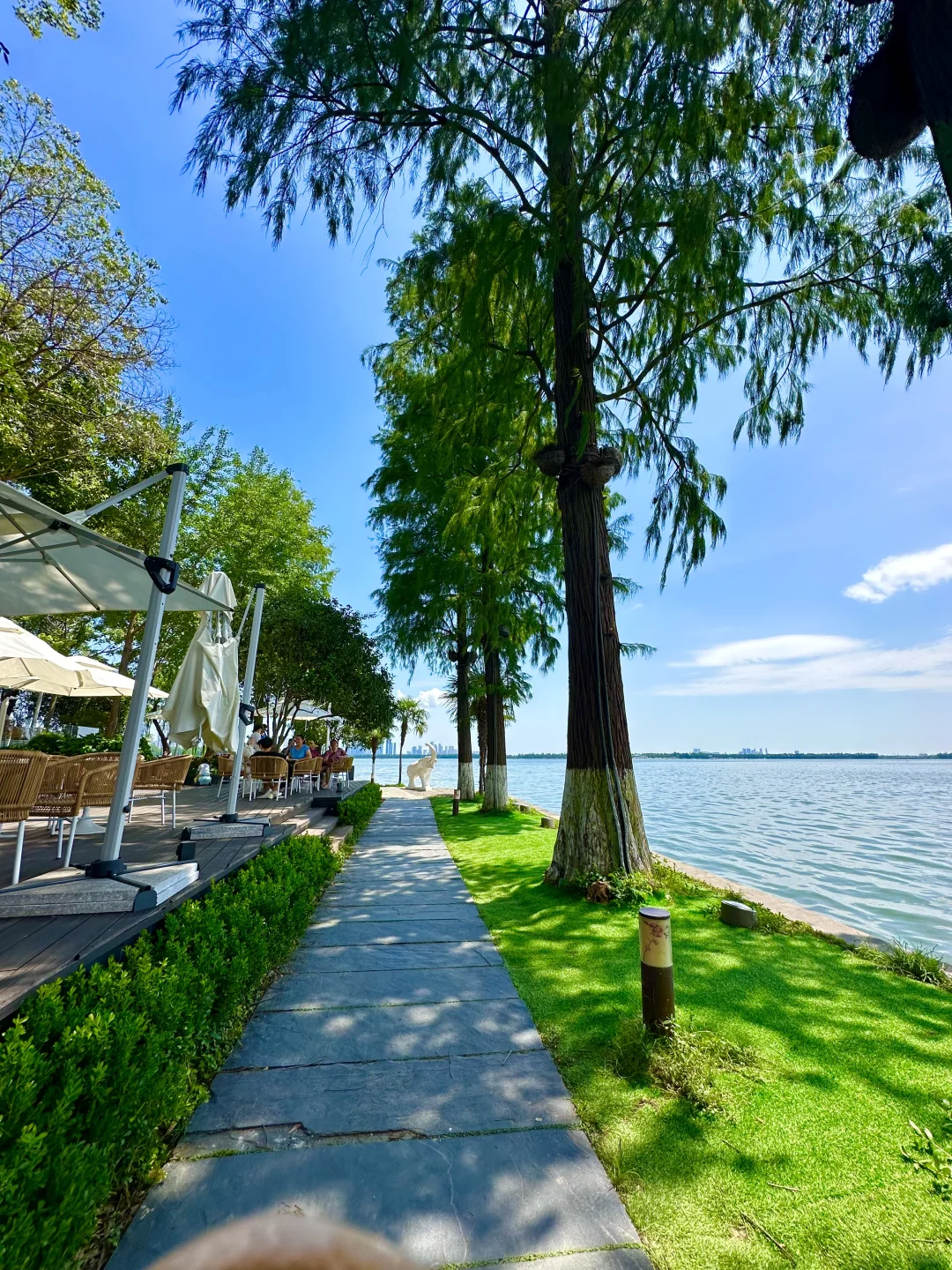 7-8月武汉东湖听涛景区旅游攻略🌅（可看日出