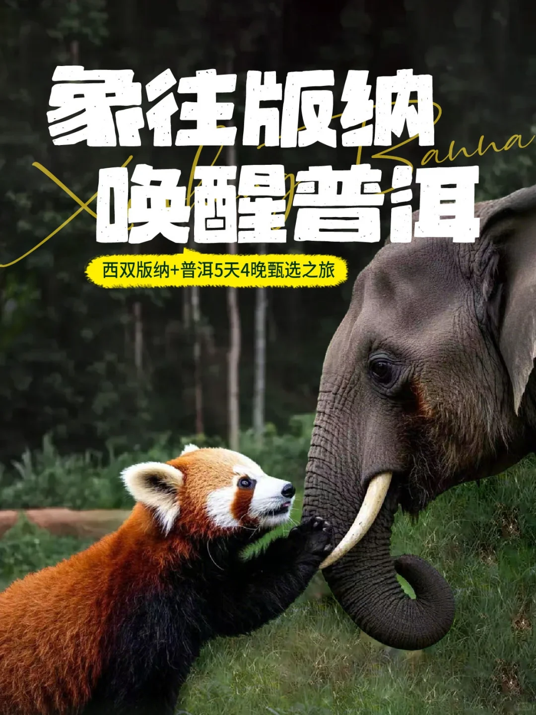 7-8月国内避暑胜地🌿20℃的夏天太爽了！