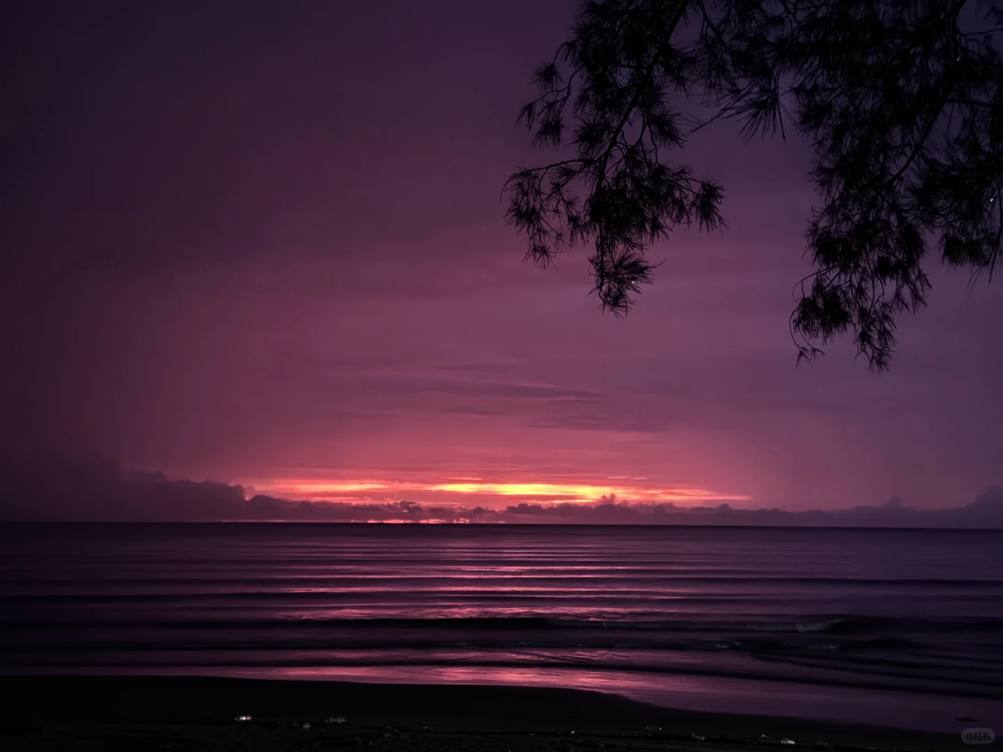 🇲🇾马来西亚九日游，强的可怕，有问必答🙋