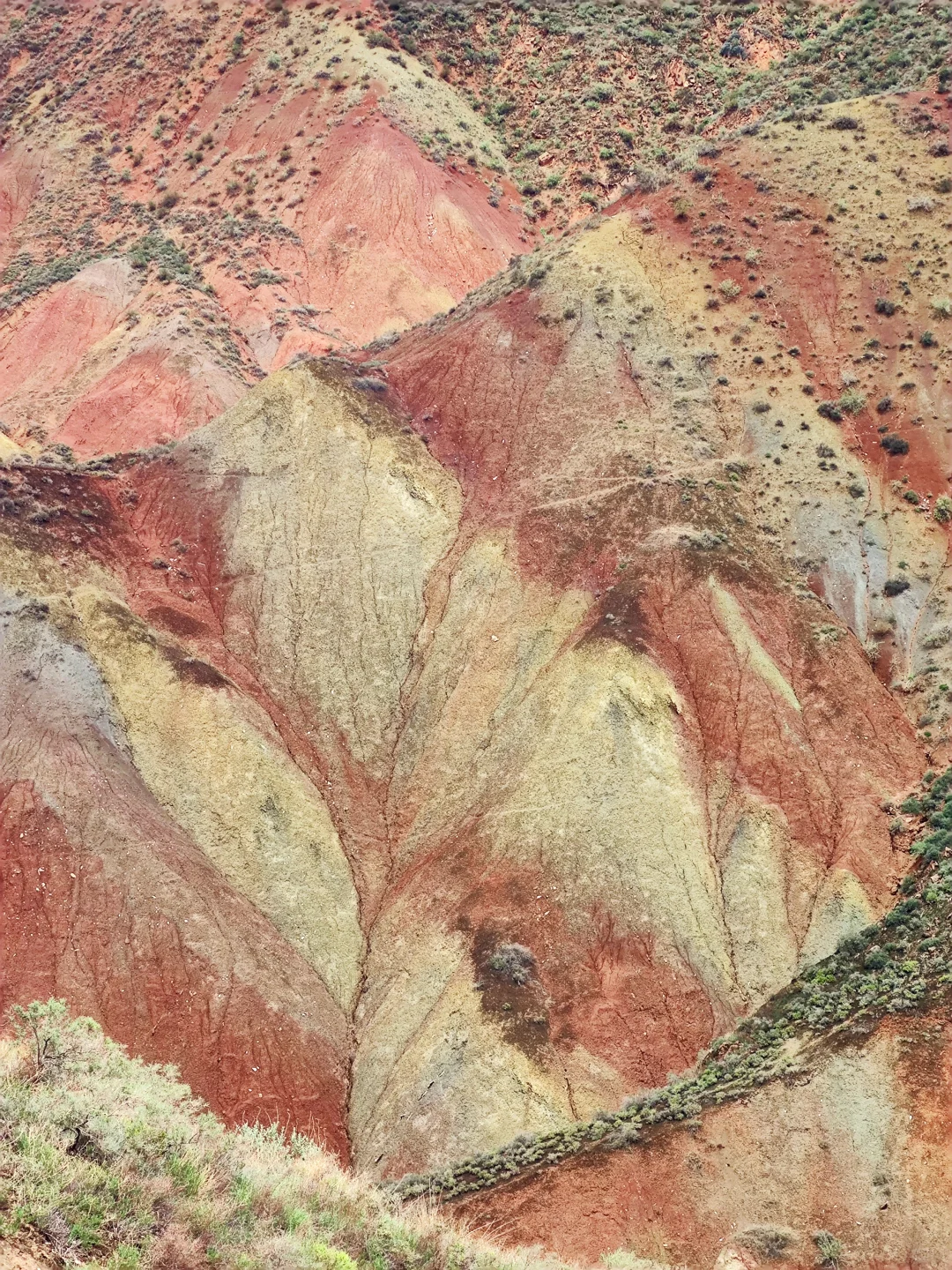 懒人抄作业！水墨丹霞全日攻略省💰省腿