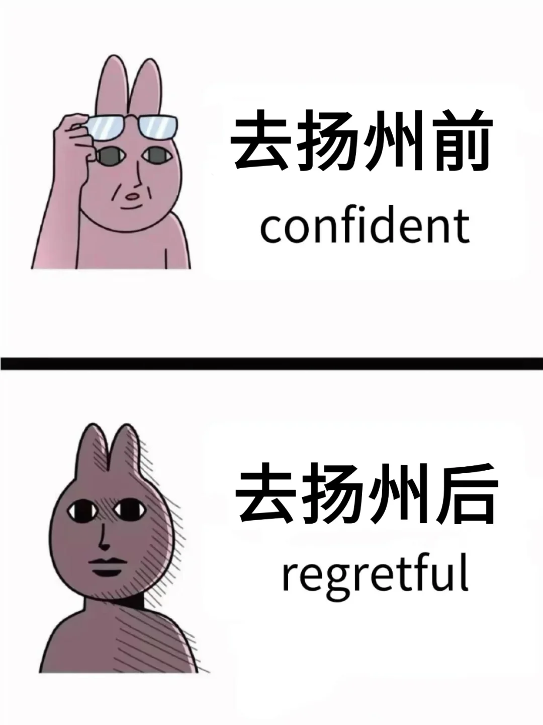 为什么我来扬州旅游之前没有刷到这一篇！