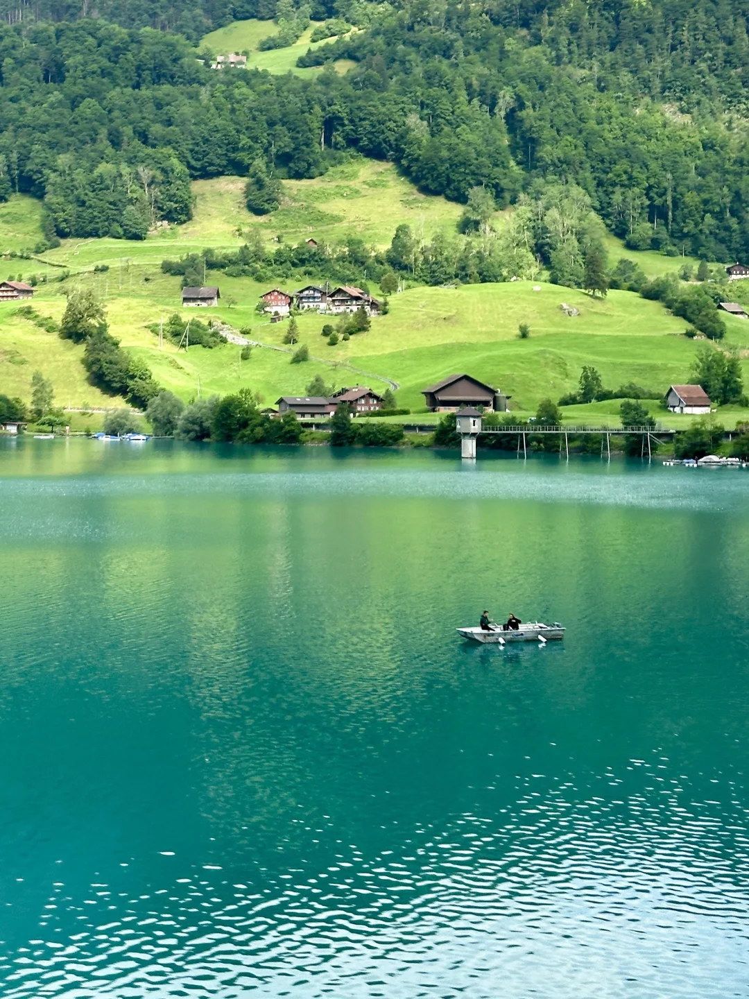 年轻人不要轻易来瑞士🇨🇭
