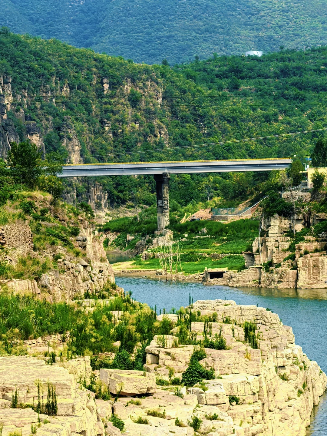 这个野生景点也太赞了吧！